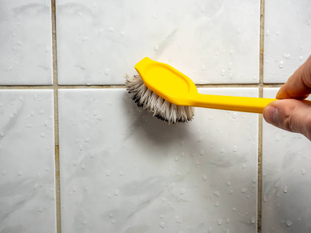 Best Mold Cleaning Services  in Port Aransas, TX
