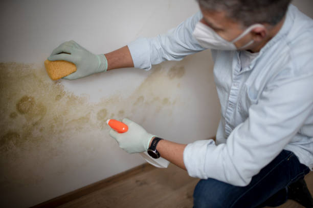 Best Crawl Space Mold Removal  in Port Aransas, TX