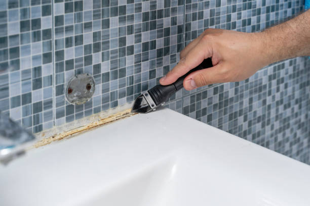 Best Mold Damage Repair  in Port Aransas, TX