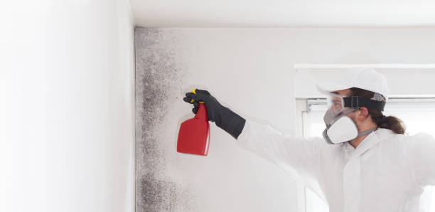 Best Mold Testing  in Port Aransas, TX