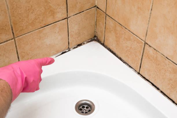 Best Emergency Mold Removal  in Port Aransas, TX